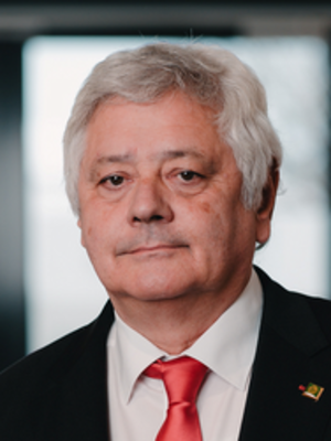 Ralf Hanemann