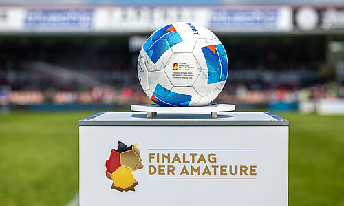 24.05.2025 FC An der Fahner Höhe vs. ZFC Meuselwitz