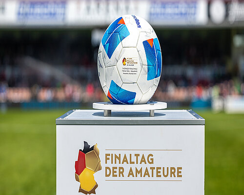 24.05.2025 FC An der Fahner Höhe vs. ZFC Meuselwitz