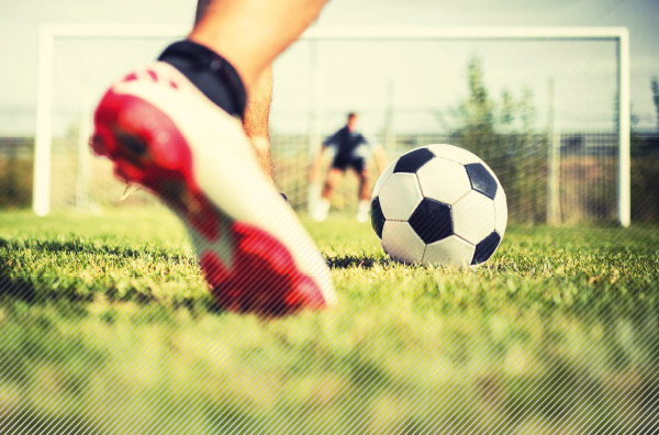 Header TFV Newsletter